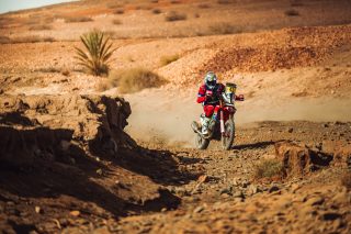 2024 Rallye Du Maroc - Adrien Van Beveren