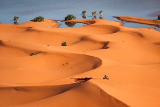 2024 Rallye Du Maroc - Tosha Schareina