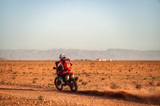 2024 Rallye Du Maroc - Adrien Van Beveren