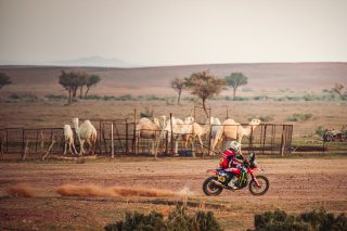 2025 Dakar Rally - Adrien Van Beveren