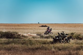 South African Safari Rally Stage 3 - Adrien Van Beveren