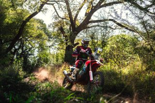 South African Safari Rally Stage 5 - Adrien Van Beveren