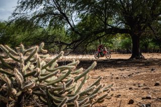 68_marcelomaragni_050001_149834
