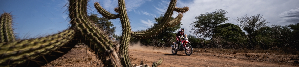Monster Energy Honda HRC