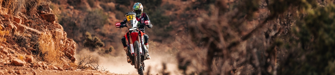Monster Energy Honda HRC