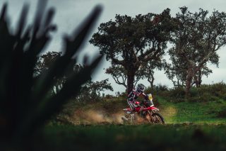2026 Rally-Raid Portugal - Schareina